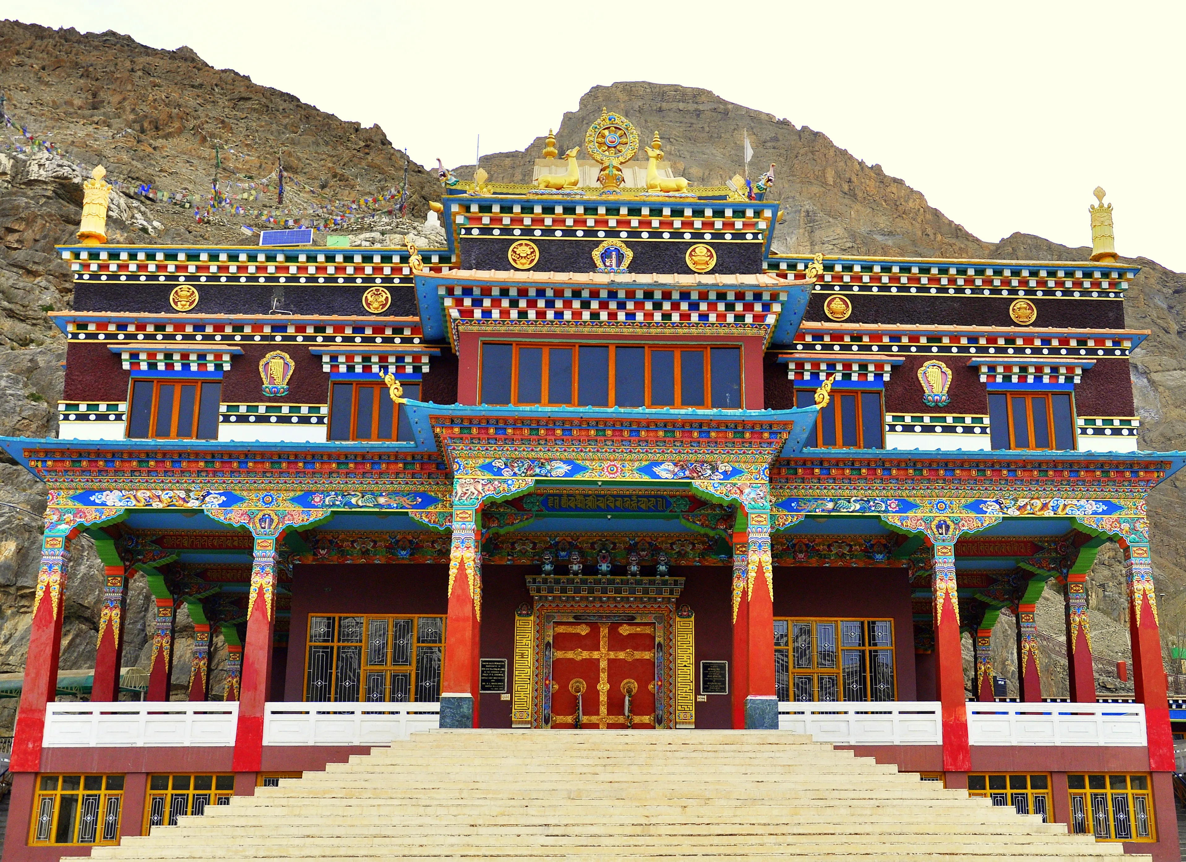 Spiti Tails: A Visual Dog Census — Spiti, Himalaya